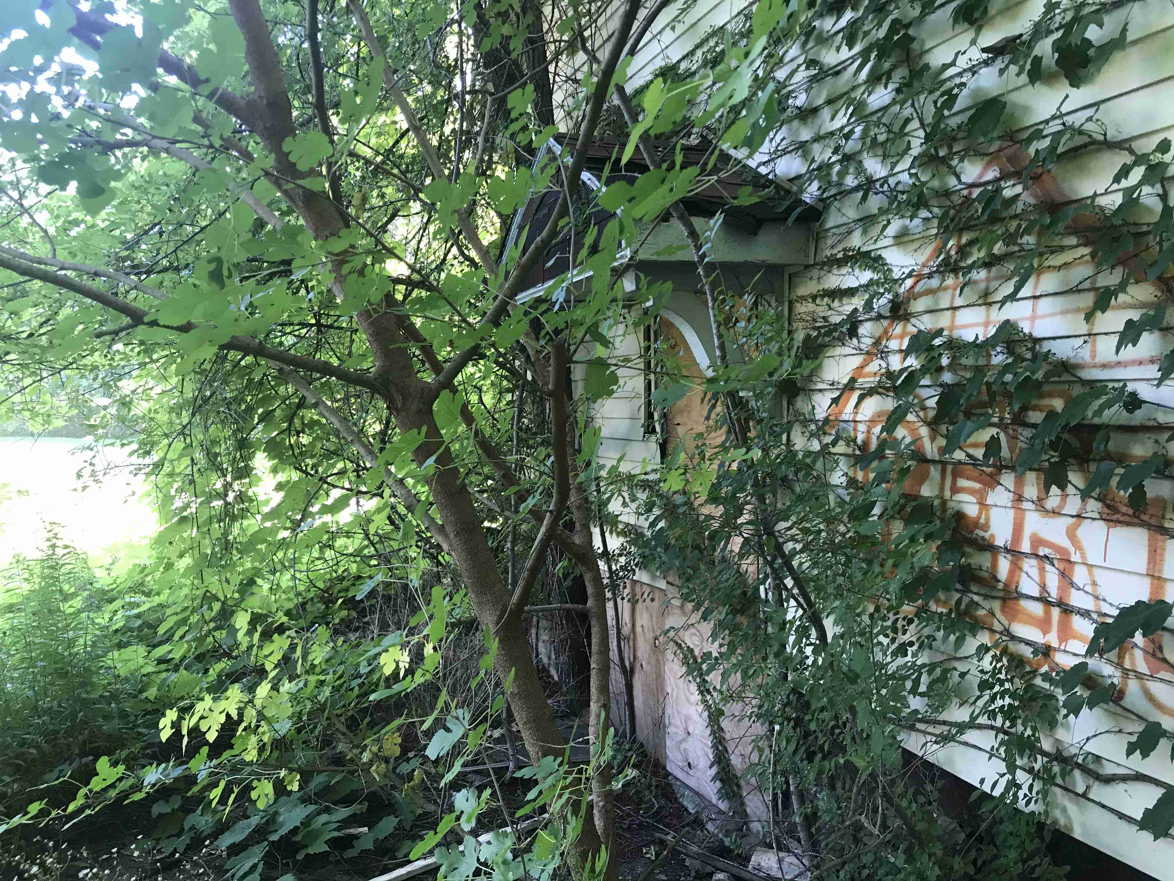 Photo Aug 24, 9 16 09 AM.jpg